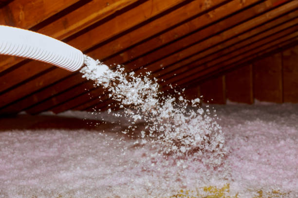 Best Eco-Friendly Insulation in Pine Island, TX