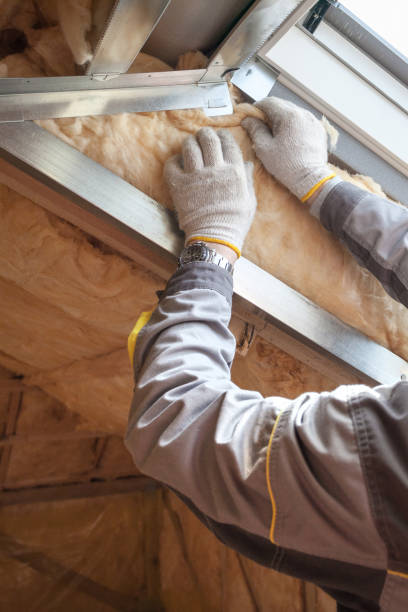 Best Cellulose Insulation in Pine Island, TX