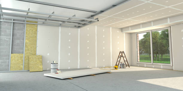 Best Geographic-Specific Insulation Services in Pine Island, TX